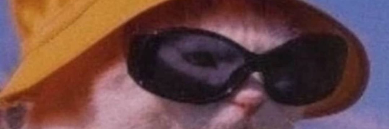 MehdiYanaroglu's profile banner image