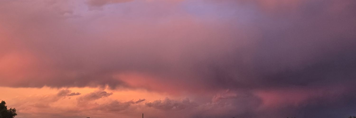 kindergrass's profile banner image