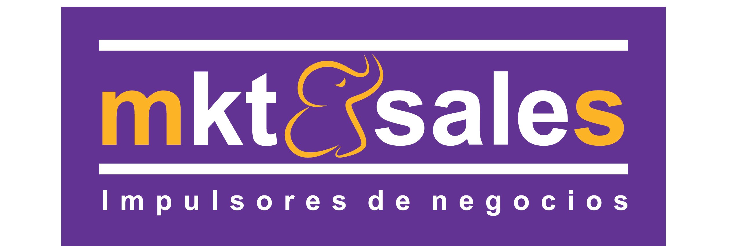 Dinorah Cambuston banner