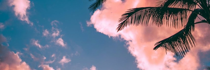 vanessa ✨ banner