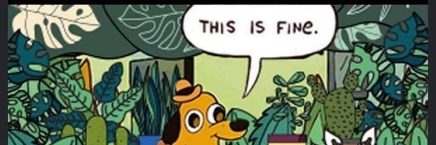 LibraryWitch666's profile banner image