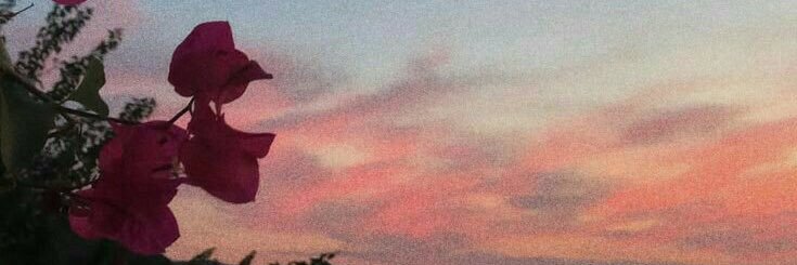 delightflav's profile banner image