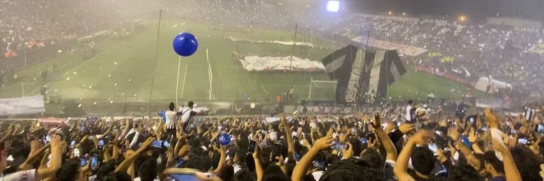 Renzo banner