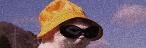lilppsxx's profile banner image