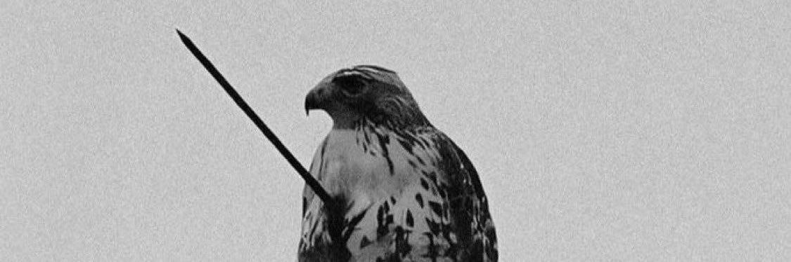 Dbbs83138795's profile banner image