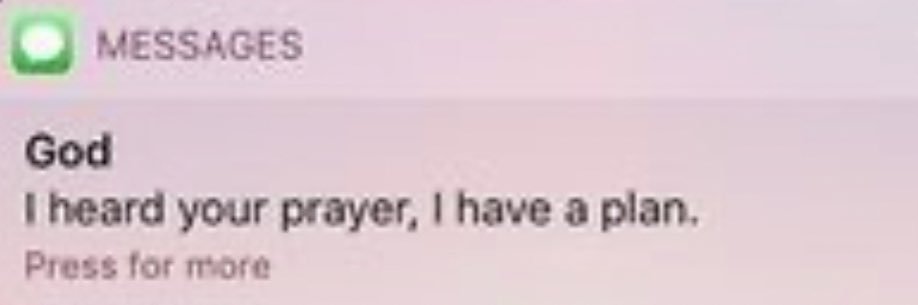 David Alejandro Jr. banner