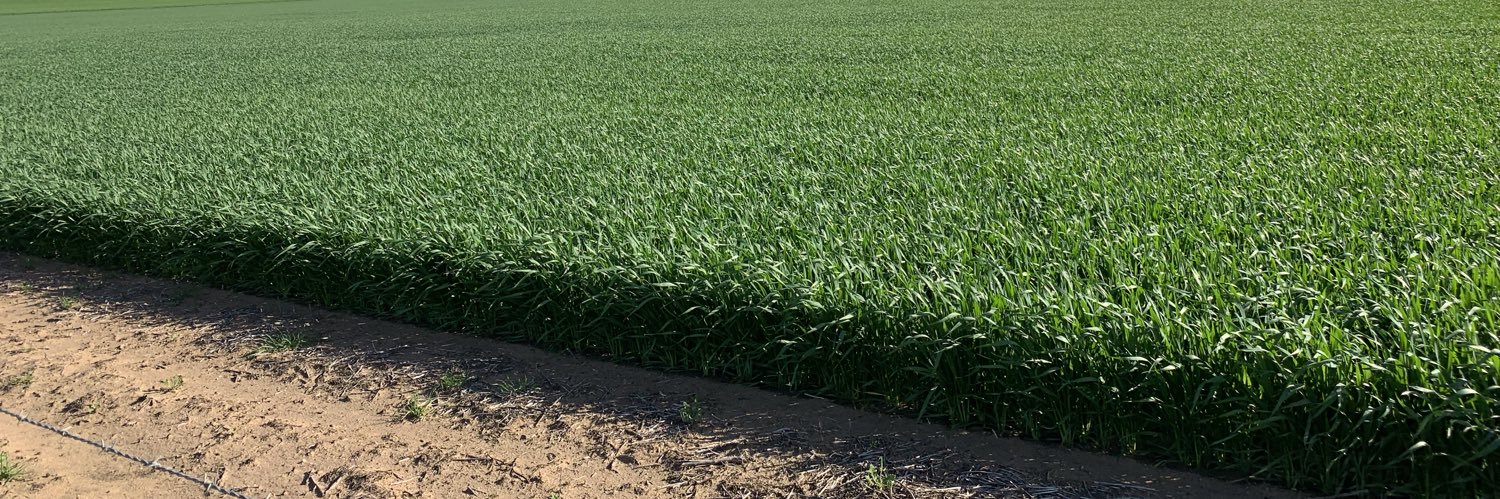 Isaac Fischer banner