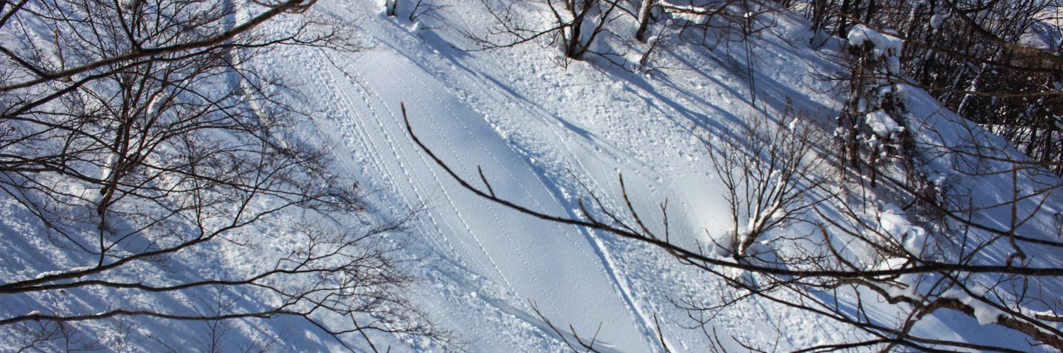 tskzy's profile banner image