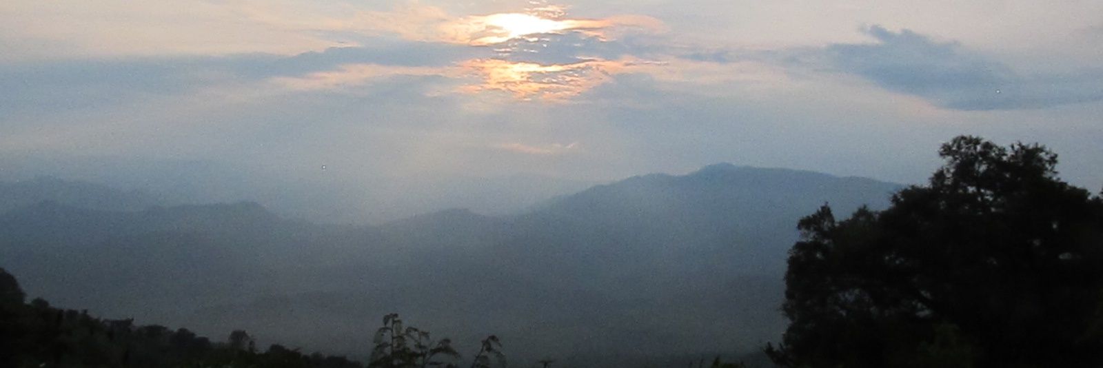 angelparamo66's profile banner image
