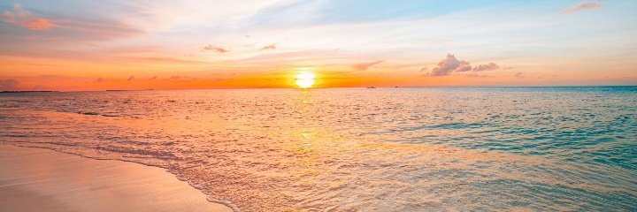 Karola 🌍🐧🦜🦓🦘 banner