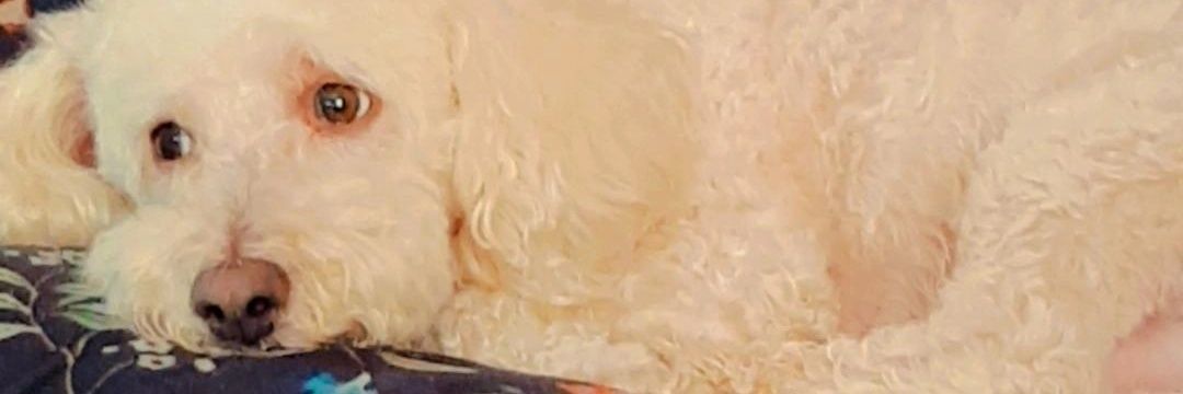 Viickytabb's profile banner image