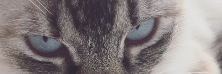 naataan__'s profile banner image