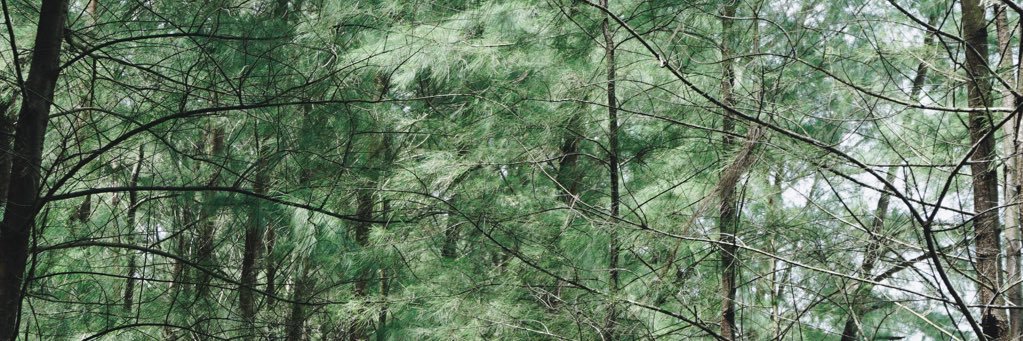 kungkling's profile banner image
