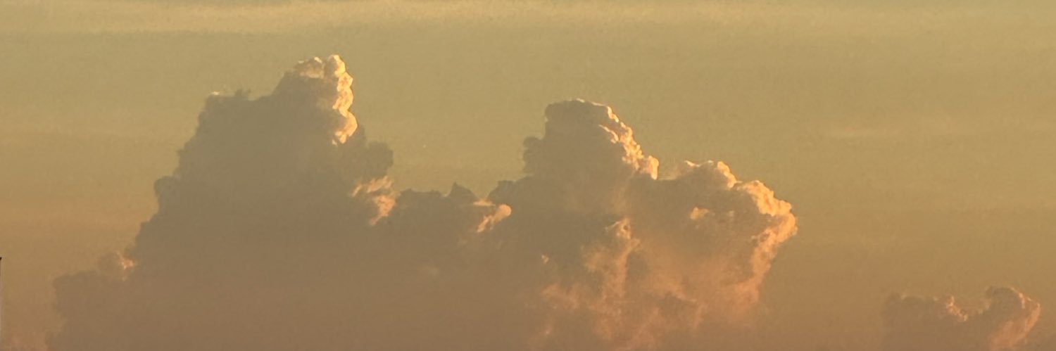 葱山紫蘇子//4/12(日)ZINEフェス大阪出店// banner