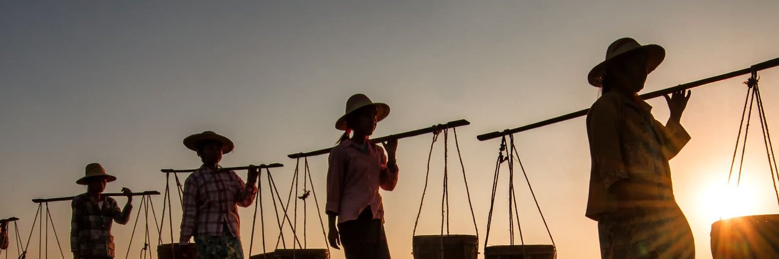 arindez's profile banner image