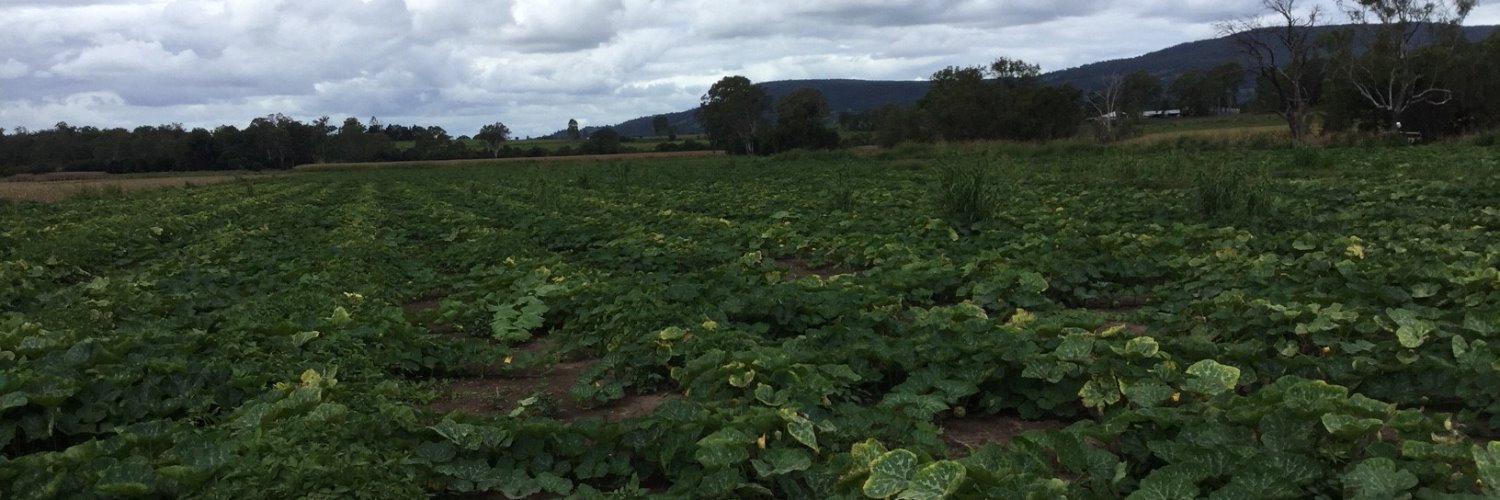 Scott Sheppard banner