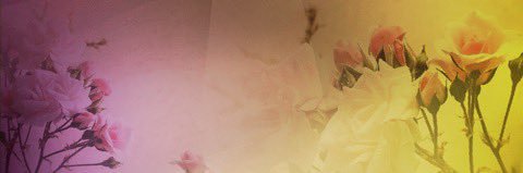 JazemonNichelle's profile banner image