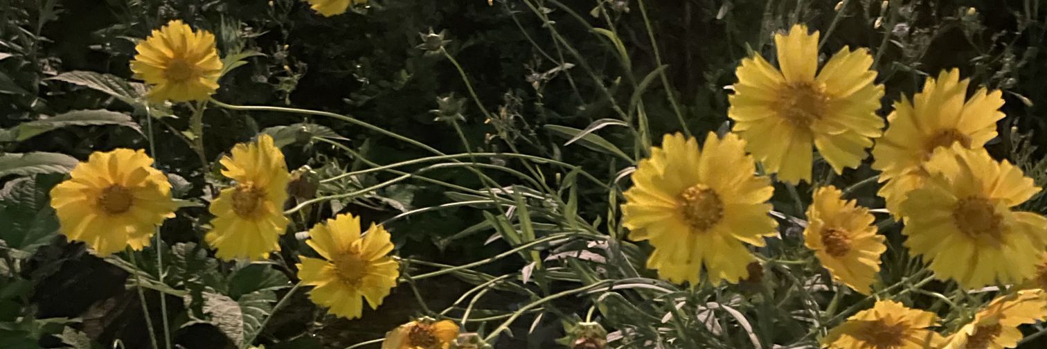 getcherry_ontop's profile banner image