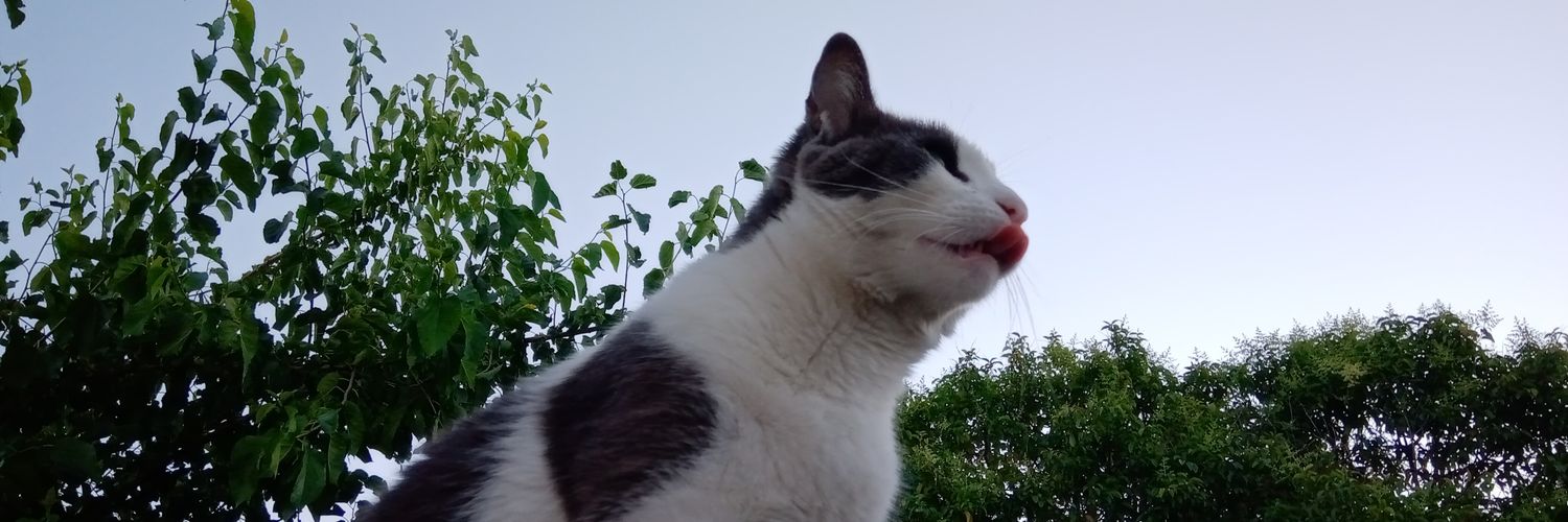 guads__'s profile banner image