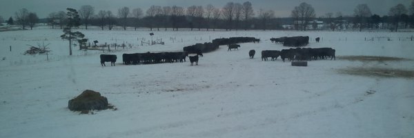 JeffKemp5 Profile Banner