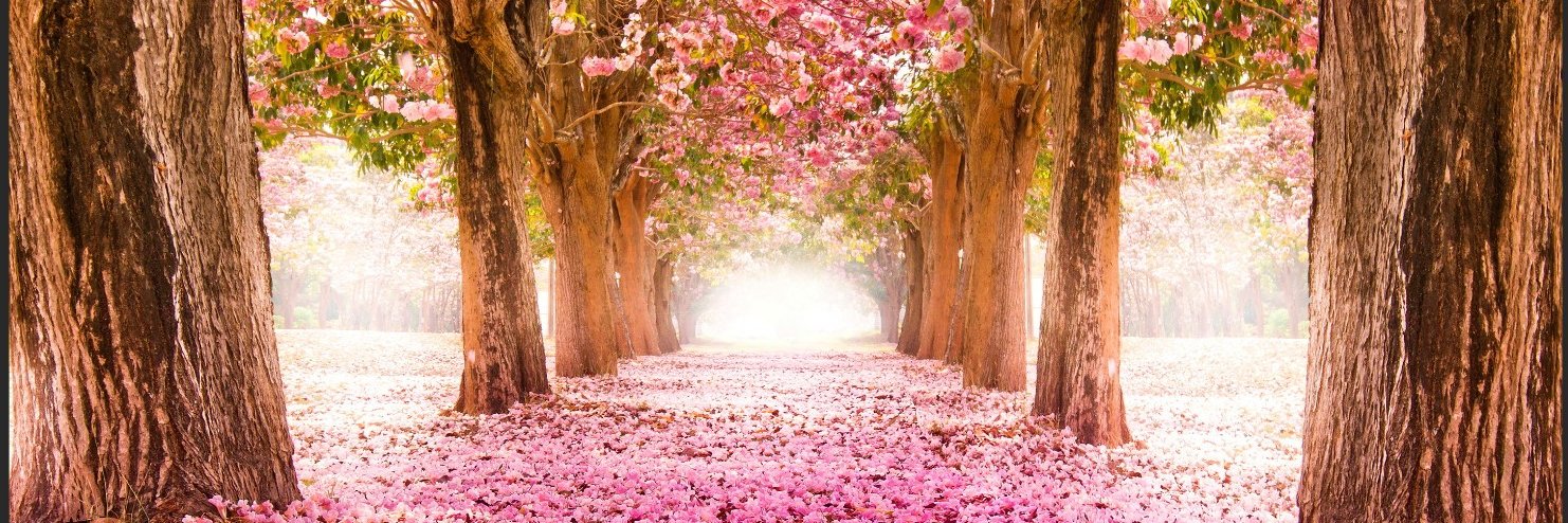 Rebel with a Cause banner