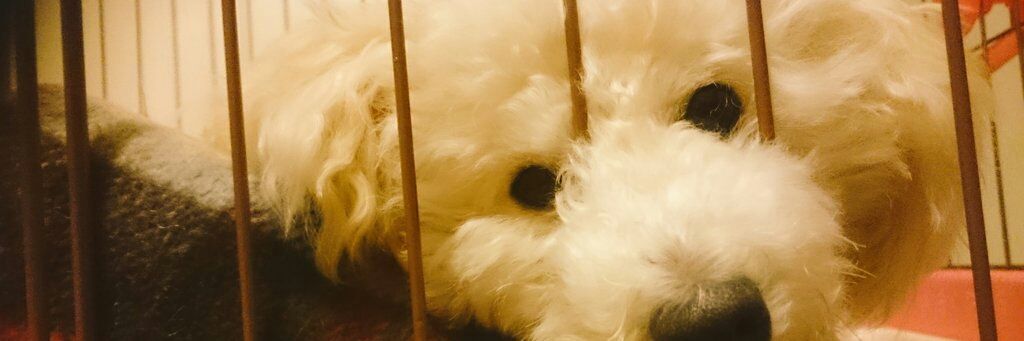 ❥❥ゆーり♕ banner