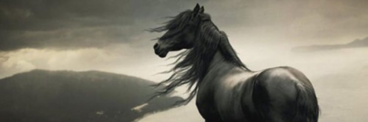 reed_wt's profile banner image