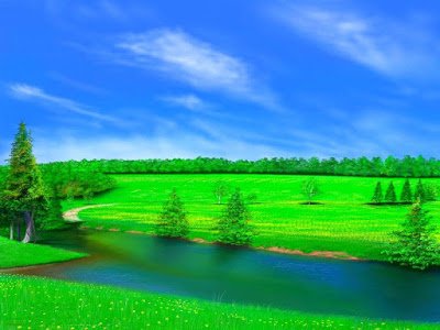 ⭐️ميمون⭐️ banner