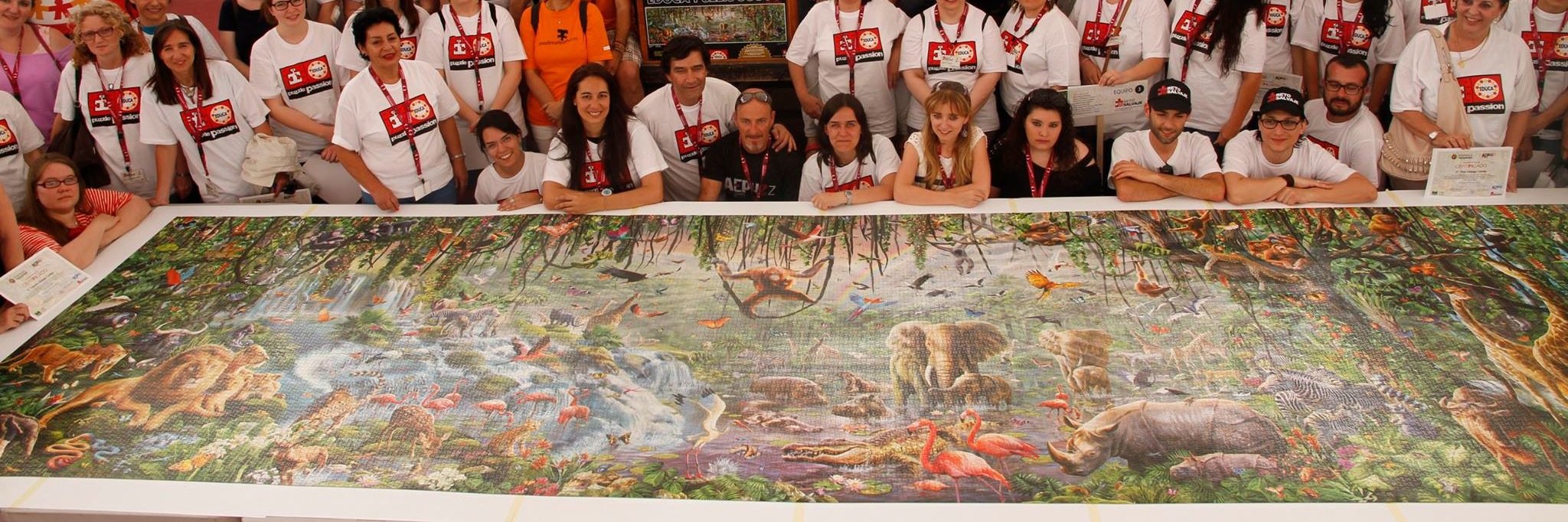 Asociación Española de Puzzles banner