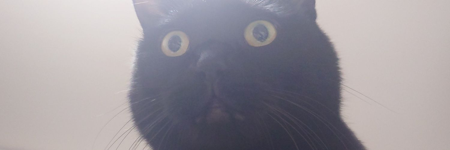 bAd_Beaster's profile banner image