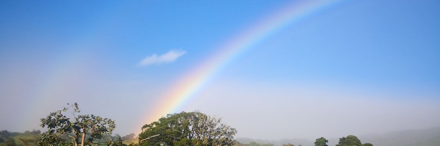 mpadillab's profile banner image