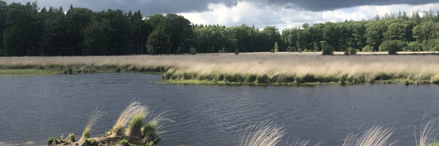 Brian Kamstra banner