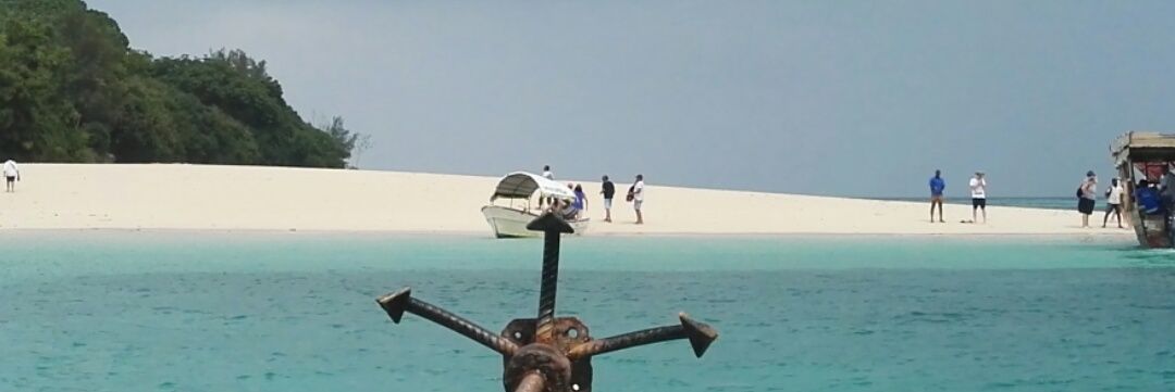 Fulvio Drigani🇪🇺 banner