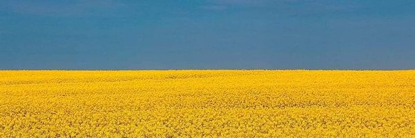 haucap Profile Banner