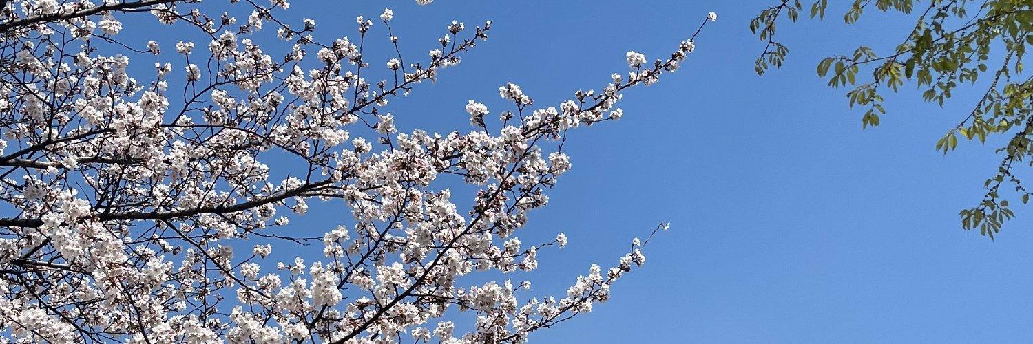 bluishdreams's profile banner image