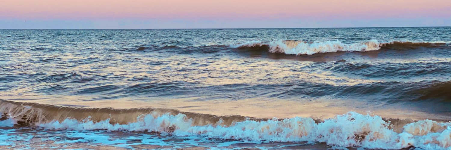 Brooklyn_Lizz's profile banner image