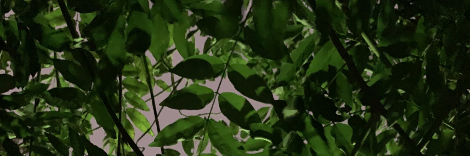 achilles_0714's profile banner image