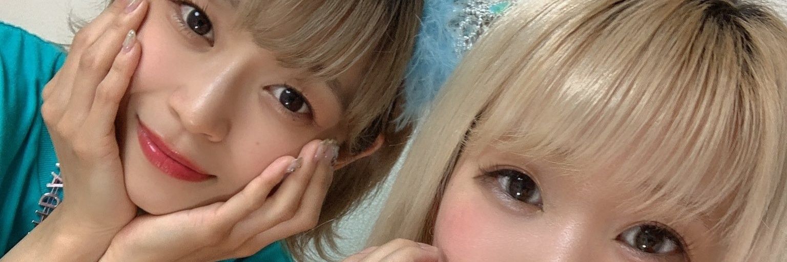 🐰汎用うさぎ banner