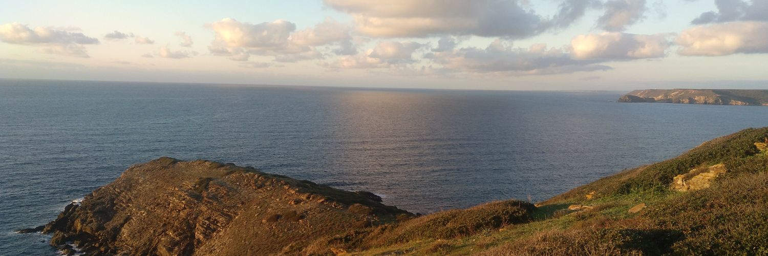 Andrea Cimmino banner