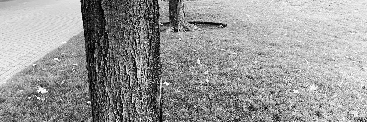 Arlette Aluma Kasongo banner