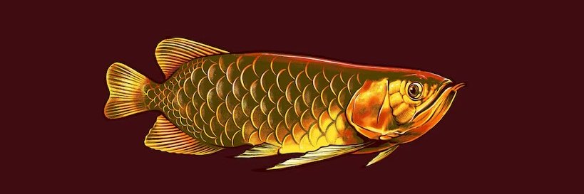 FhoelzZZ banner