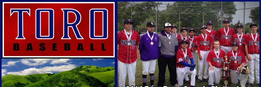 ToroPonyBasebal's profile banner image