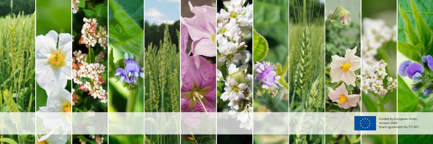 Ecobreed project banner