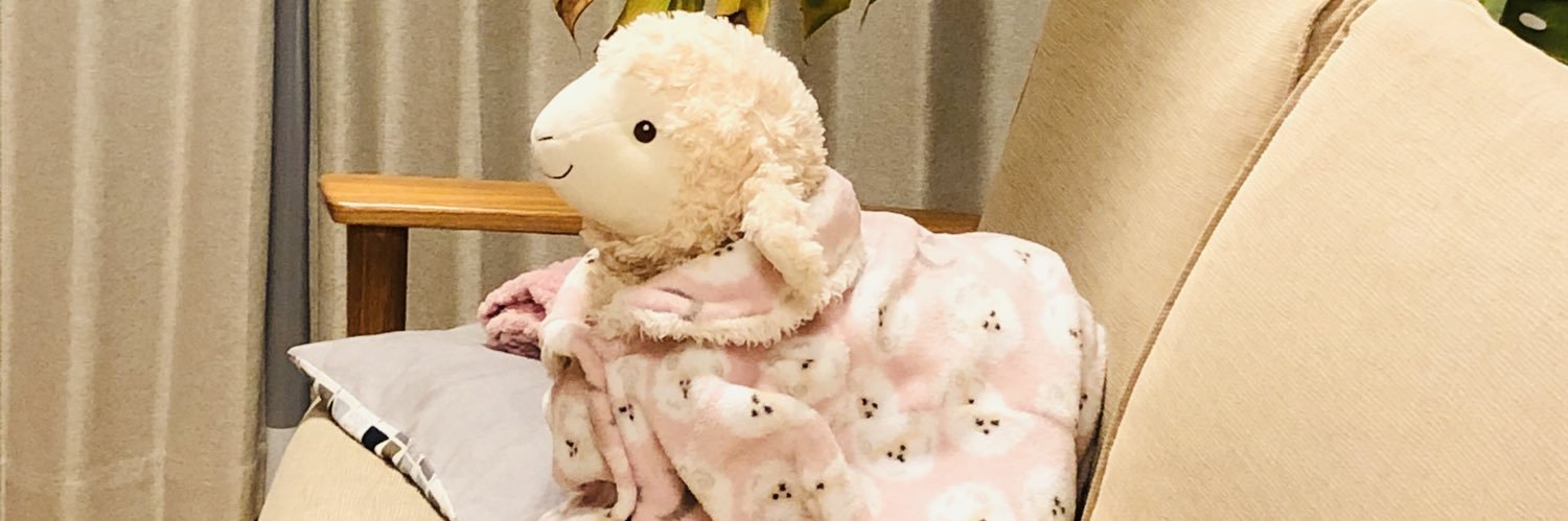 holidaysheep's profile banner image