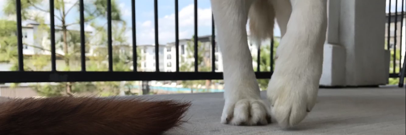 LoMood92's profile banner image