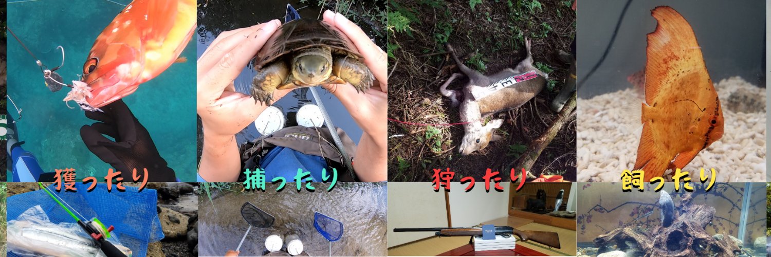 マーシーの獲ったり狩ったり@生き物系YouTuber's banner