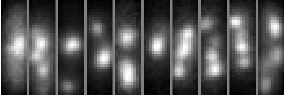 Sander Govers banner