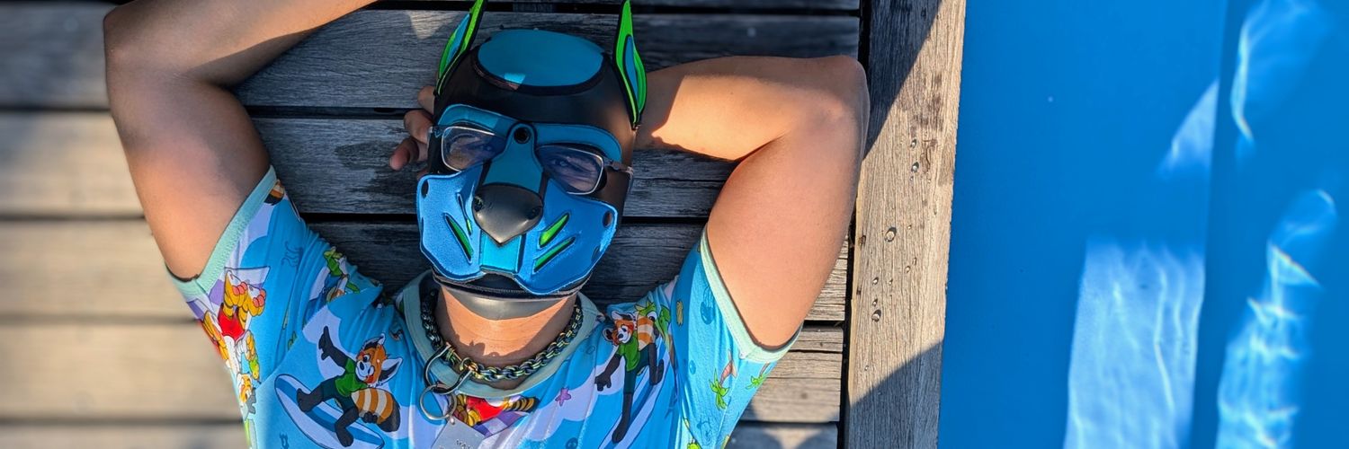 Little Pup Max banner