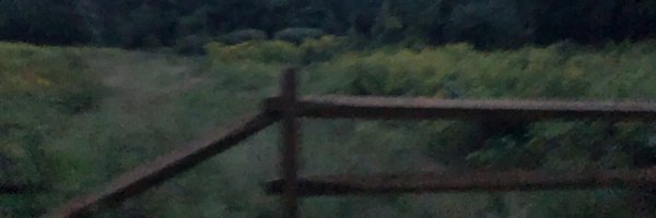 _willkeeper Profile Banner