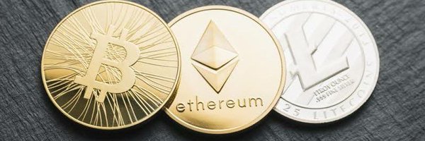 WeedersTeam Profile Banner